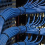 cat5-2